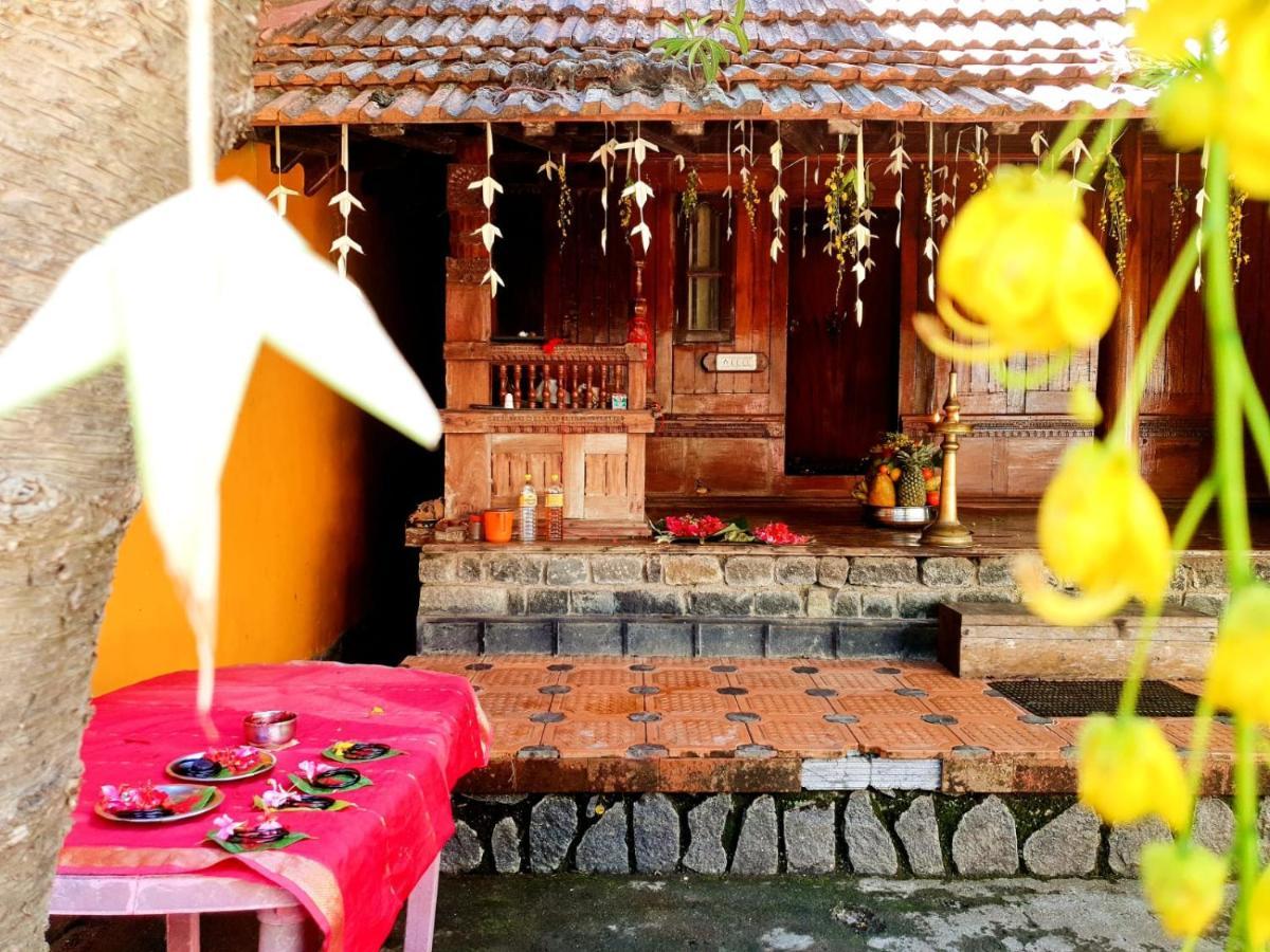 Thriphala Ayurveda Yogashram Lejlighed Thiruvananthapuram Eksteriør billede