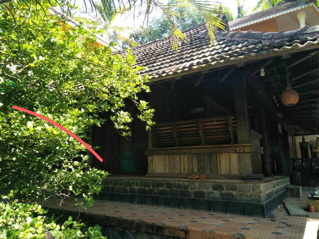 Thriphala Ayurveda Yogashram Lejlighed Thiruvananthapuram Eksteriør billede